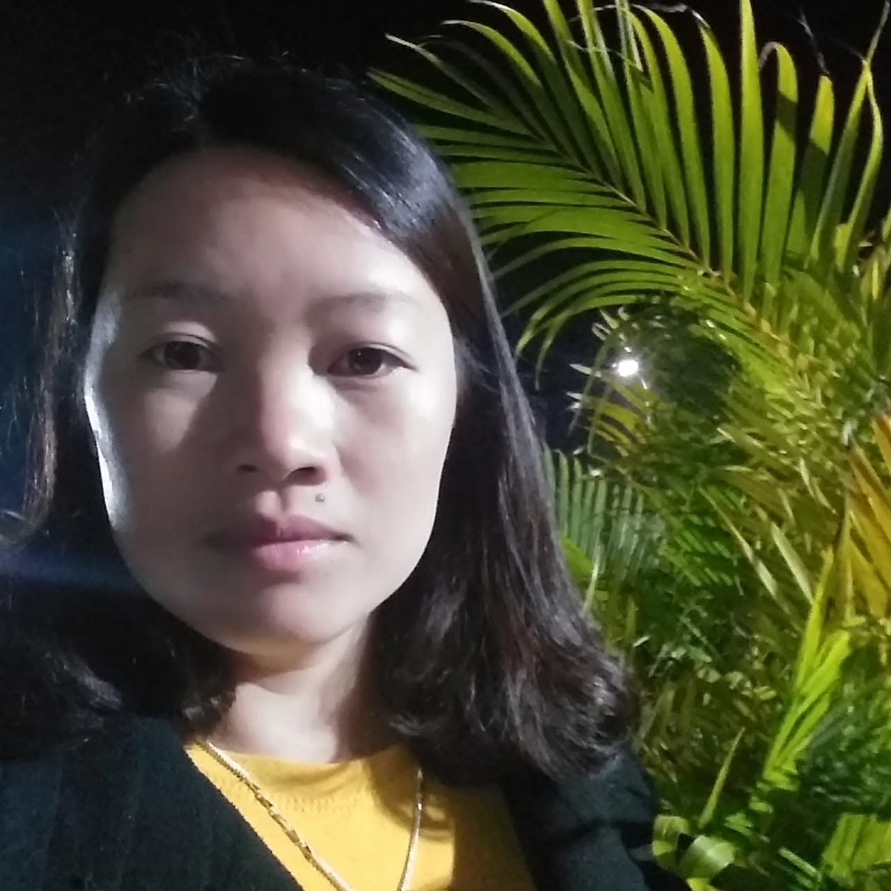 Sơn Đào